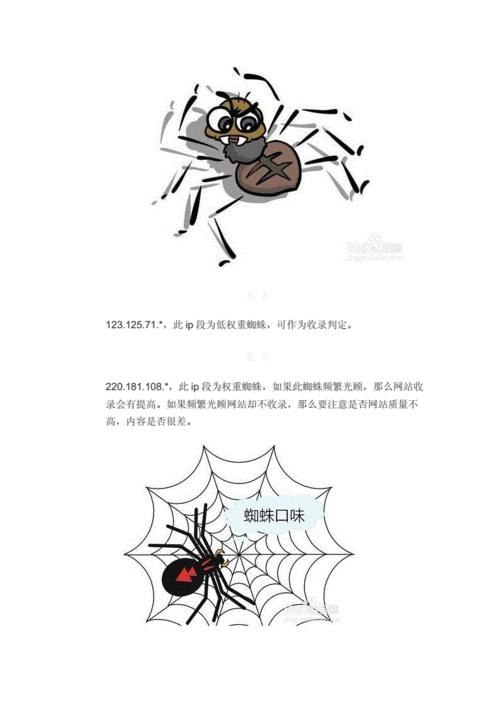 Baiduspider 百度蜘蛛