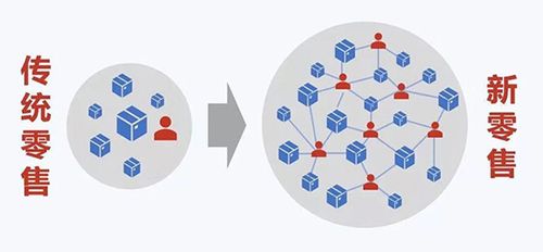 群站概念的本質