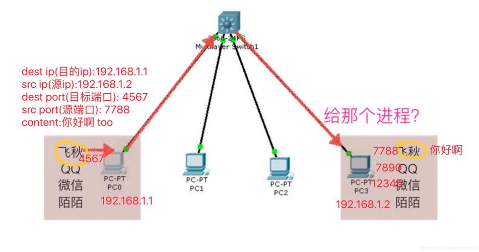 蜘蛛抓取過程中涉及的網絡協議有哪些